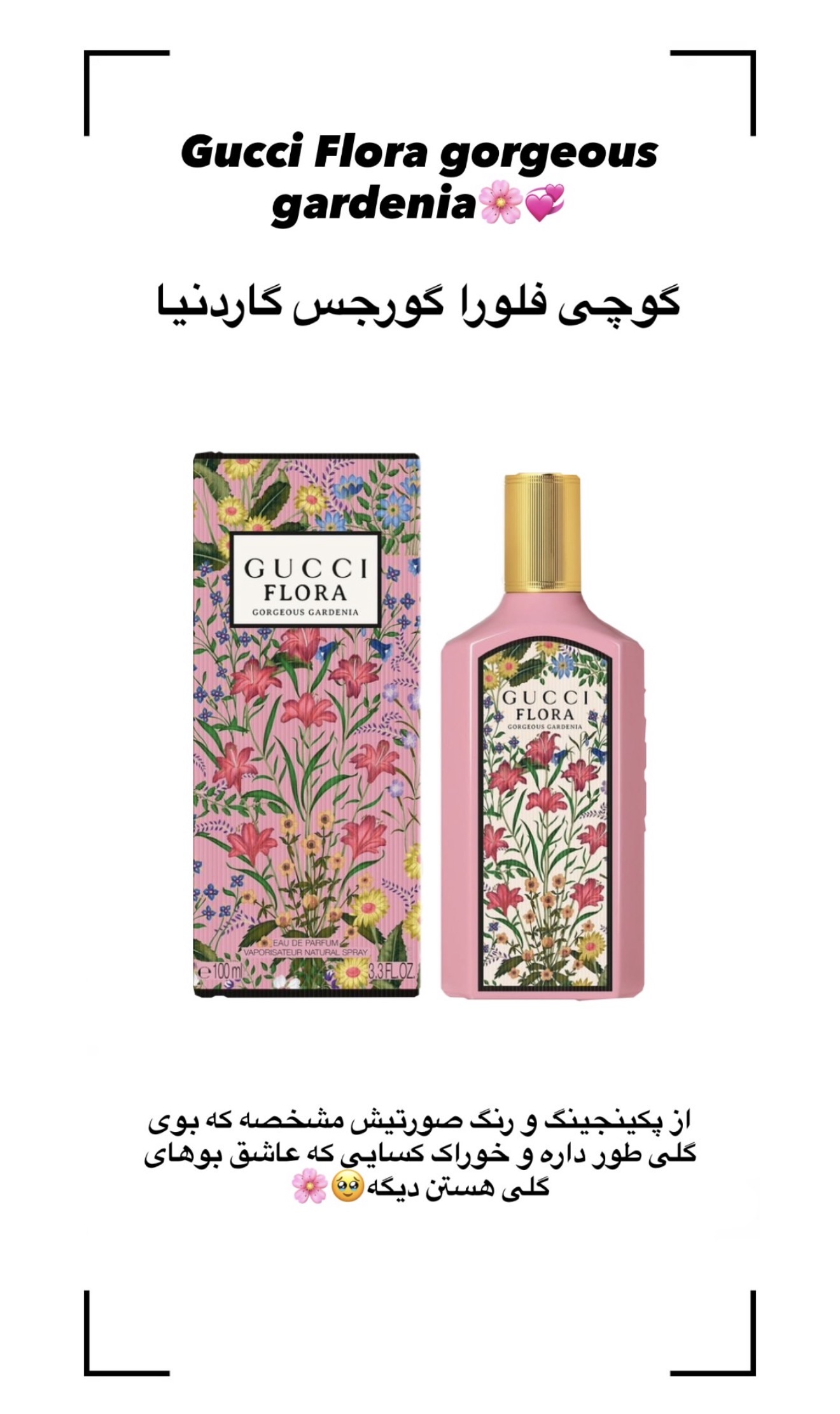 دکانت گوچی فلورا گرجس (گورجس گاردنیا)
